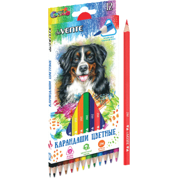 Карандаши 12 цв. deVente 'Trio' заточен., 2 М, трехгран.картон. уп., европодвес, 5022306