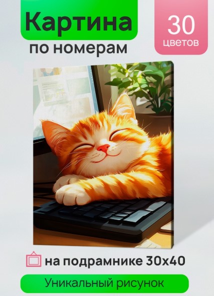 Холст с красками 30x40 см по номерам (в коробке) (30 цв.) Спящий милый коти, ХК-3915